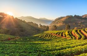 Chiang mai