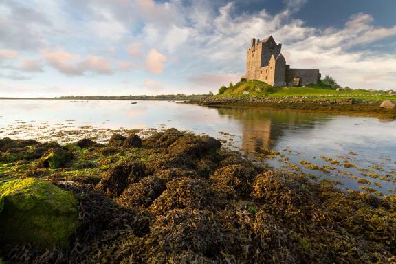 Dunguaire kasteel  in Ierland
