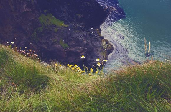 Groen landschap in Ierland