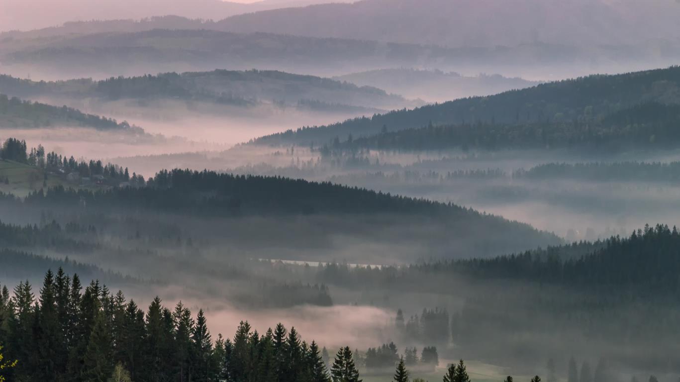 bos-polen