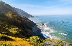 Redwood National Park