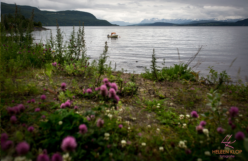Hamarøy Innhavet