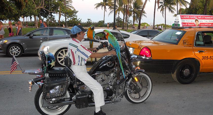 Ocean Drive