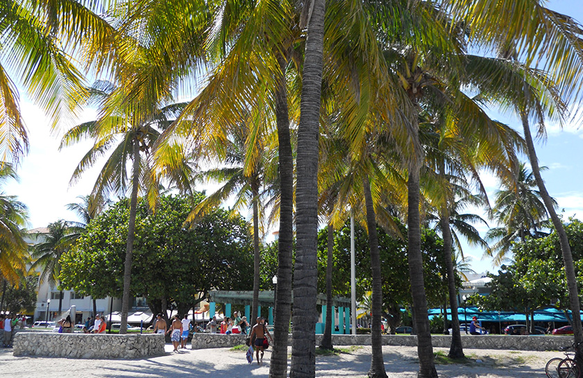 Beach boardwalk